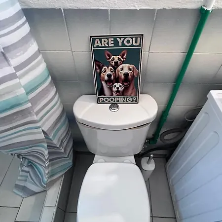 Vintagevibes Скала-Марион